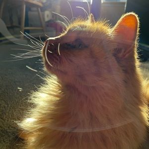 Meet your Posher, Karina